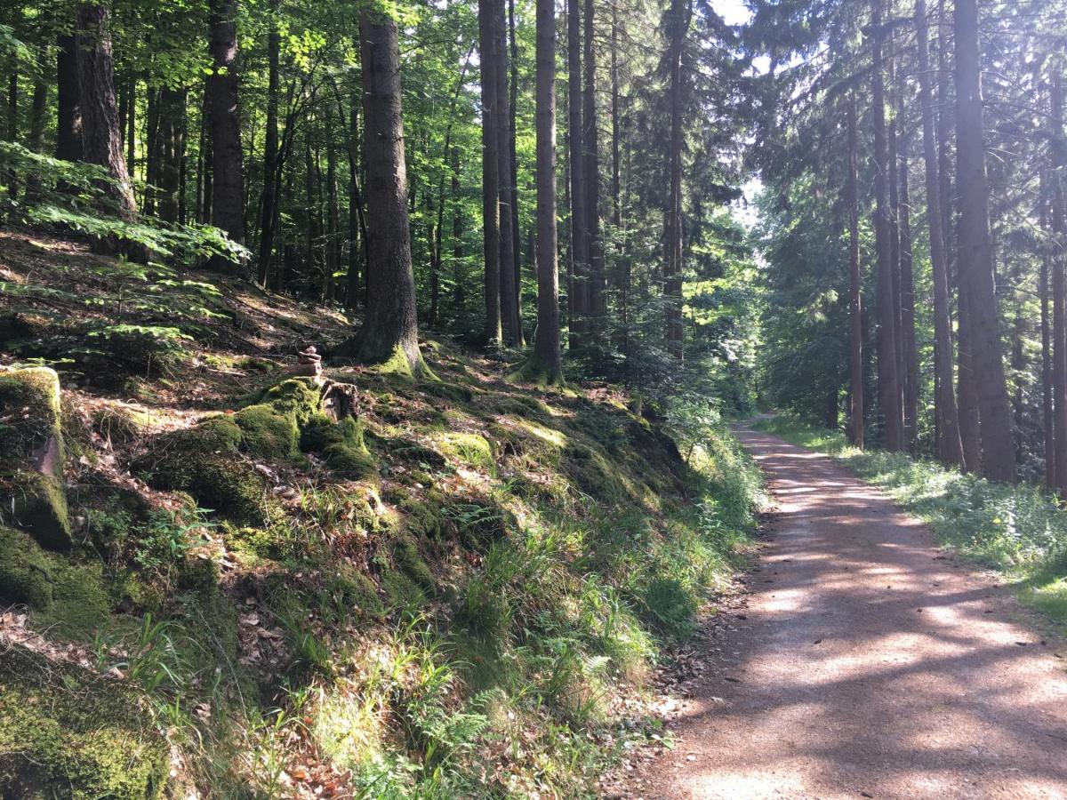 Infinity Two Διαμέρισμα Waldbrunn  Εξωτερικό φωτογραφία